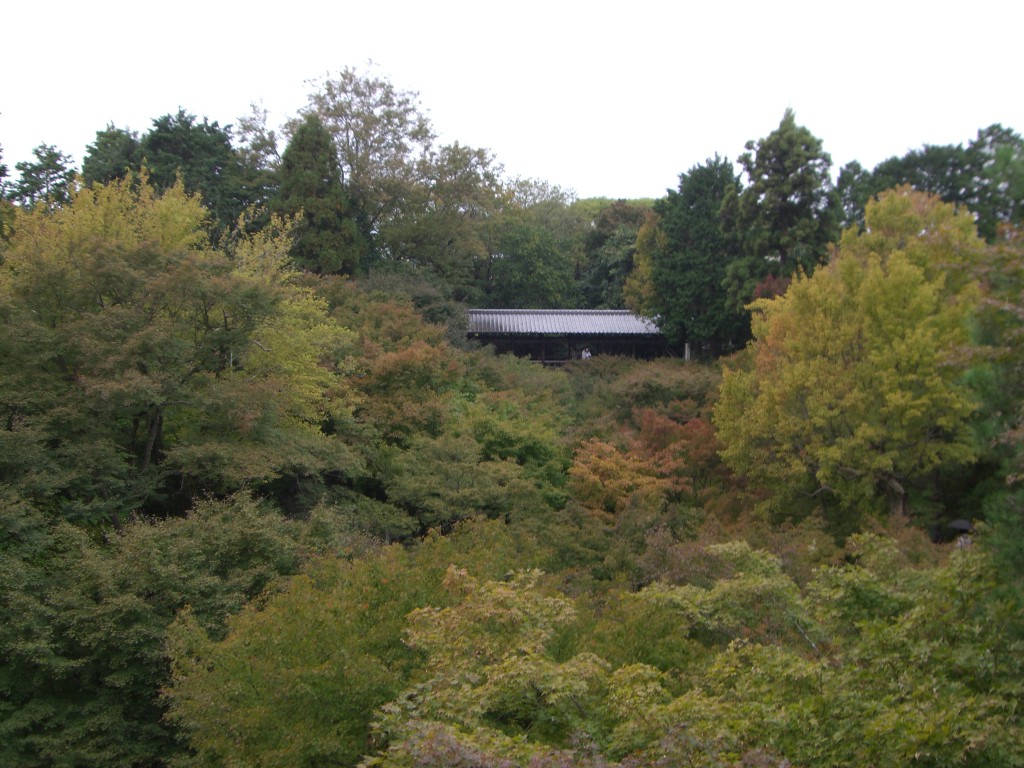 東福寺紅葉2011